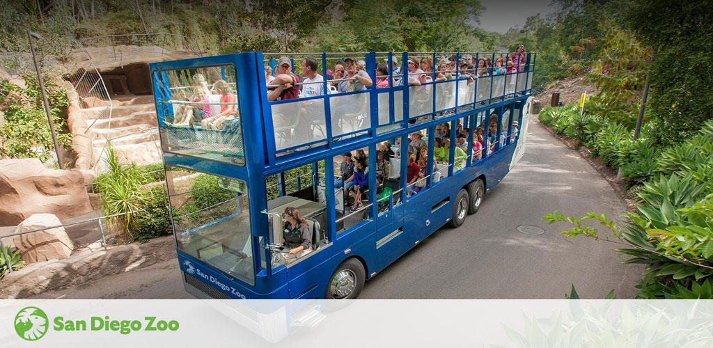 Visitors enjoy a tour on a double-decker bus at San Diego Zoo. The bus, filled with passengers on both levels, navigates a winding path surrounded by lush greenery. The zoo's logo is visible on the image, promoting the experience.