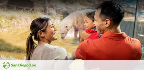 A family of three enjoys a sunny day at the San Diego Zoo. A woman and a man, holding a young child, smile at each other with a visible bond of happiness. In the background, an elephant calmly grazes in its enclosure, highlighting the zoo's display of wildlife. The logo of San Diego Zoo gleams at the bottom of the image, inviting viewers to experience the joy of the place.