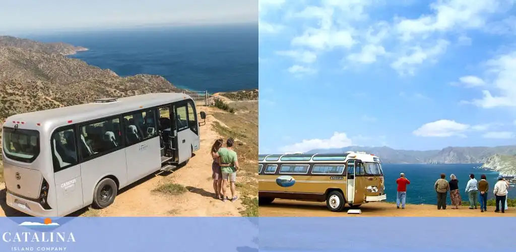 Catalina Island Company discount tickets