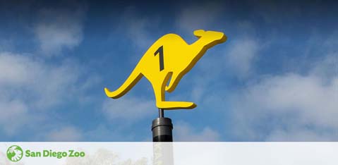 Image shows a yellow stylized kangaroo silhouette with the number 1 on it, against a cloudy sky background. Below is the San Diego Zoo logo. The kangaroo icon is possibly on a sign or a stand.