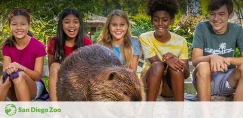 Image features four smiling children sitting outdoors on what appears to be a ledge or bench. From left to right, there's a girl in a pink top, another in red, one in light blue, and a boy in yellow. In the foreground, a large rodent, possibly a capybara, is seen. The logo at the bottom indicates San Diego Zoo. The setting suggests a friendly and educational environment.