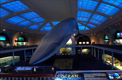 A group of visitors is engaging with a large Moai statue at a museum exhibit. One man points up towards the statue's face, while children and adults surround him, some reaching out to touch the monolithic figure. The room is dimly lit with a blue tone, and a display case with artifacts is visible in the background.