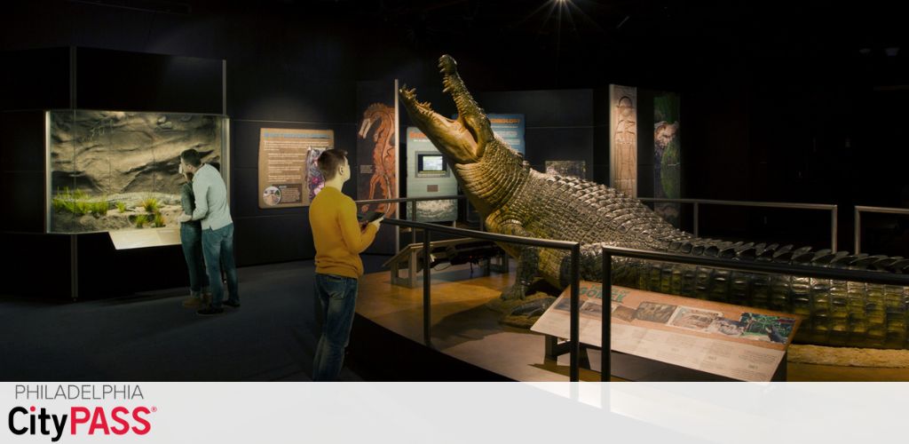 Image displays an indoor exhibition space with two individuals observing educational displays. One person is interacting with a touchscreen, and the other is examining a terrarium. A large, realistic model of a crocodile is prominently featured in the foreground, with illuminated information panels and seating arrangements in the dimly lit room. The Philadelphia CityPASS logo is visible in the corner, suggesting access to city attractions.