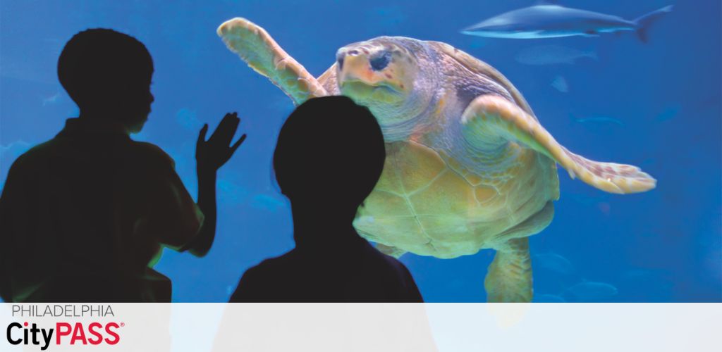 Image shows silhouettes of two individuals observing a large sea turtle in an aquarium. A smaller fish is visible in the background. Text overlay in the corner reads 'Philadelphia CityPASS'. The setting suggests an immersive underwater viewing experience.