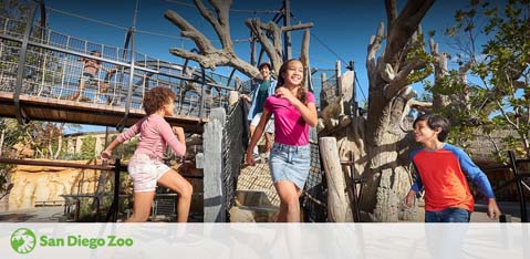 Image shows three children enjoying an outdoor play area at San Diego Zoo, with climbing structures resembling trees and a suspended bridge in the background under clear blue skies. The zoo's logo is visible in the bottom corner.