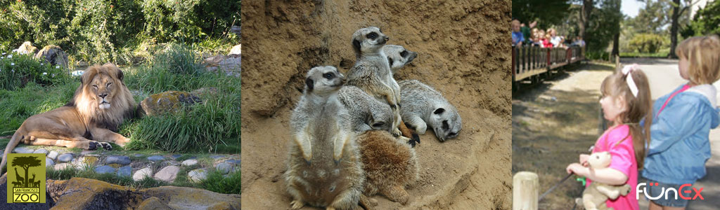 San Francisco Zoo discount tickets
