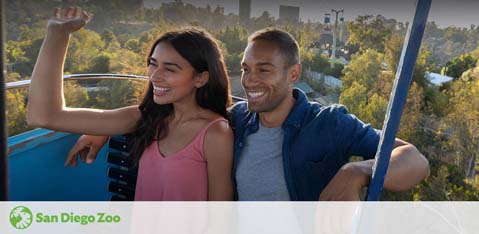 A smiling man and woman enjoy a sunny day riding a sky-blue aerial tram at the San Diego Zoo. Trees and the city skyline are visible in the background, with the zoo logo at the bottom.