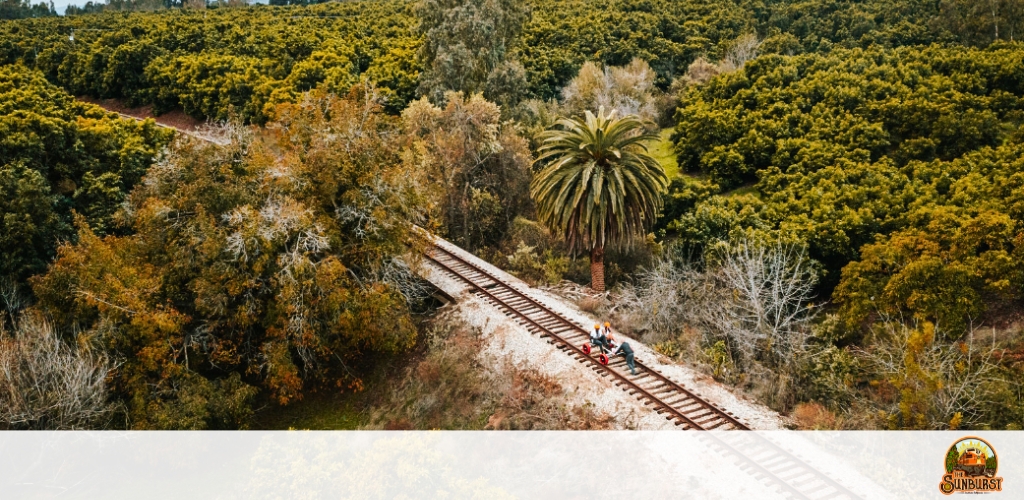 This image showcases a scenic aerial view of a single railway track meandering through a lush landscape. The track runs through a montage of greenery dominated by dense trees and shrubbery, with a notable palm tree standing out due to its height and distinctive shape. The image captures a serene and somewhat wild aspect of nature intersected by a symbol of human transportation and adventure. On the track itself, a small rail vehicle or trolley with two occupants can be seen, hinting at a leisurely journey through the picturesque surroundings. The colors of the foliage range from deep greens to earthy browns, indicating a diverse vegetation. The top and bottom borders of the image have a white overlay with the GreatWorkPerks.com logo on the right-hand side along with the word "SUNBURST." 

Enjoy exploring the great outdoors with a unique rail adventure at discount prices. At GreatWorkPerks.com, we pride ourselves on offering the lowest prices for tickets to the most captivating experiences.