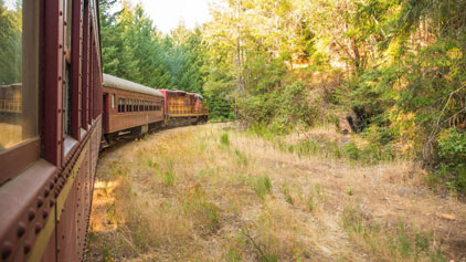 This image captures a scenic view from the side of a vintage train as it travels through a tranquil forested area. The photo is taken from a perspective that allows the viewer to see the side of the red and brown train cars adorned with large windows, which curve gently with the tracks through a landscape lush with a variety of green trees and underbrush. The foreground is marked by dry grass and the sides of the railway, highlighting the contrast between the train's engineered structure and the natural environment it moves through. The lighting suggests late afternoon with the sunlight filtering softly through the trees, casting a warm glow that enhances the natural serenity of the scene.

At FunEx.com, explore our latest offers to enjoy the beauty of scenic train rides at the lowest prices, ensuring unmatched savings on your next adventure!