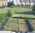 Orti urbani, a Milano il comune lancia il bando ColtivaMI Far recuperare ai propri cittadini un contatto con la Natura e far rivivere la voglia di produrre verdure attraverso la coltivazione diretta della terra, imparando al tempo stesso a rispettare...