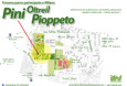 In quale occasione, nelle vostre città, avete visto fiorire le digitalis, oppure un falco volare sopra la vostra testa e la pulsatilla sbocciare curiosa tra l’angelica e il rabarbaro? Chi...