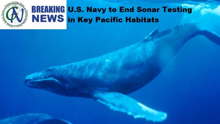 U.S. Navy Agrees to Settlement to End Sonar Testing in Key Habitats in the Pacific Ocean of Whales and Dolphins
