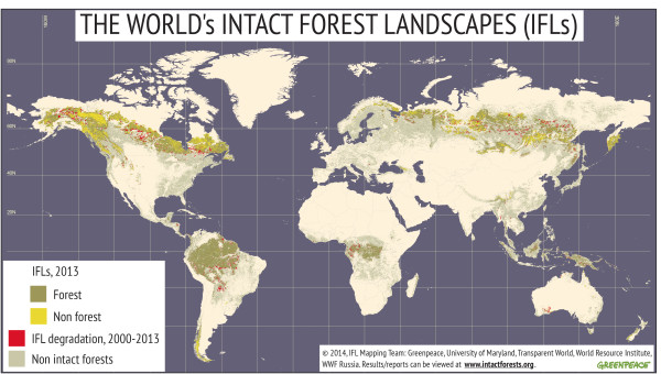 Mapping team:  Greenpeace's GIS Laboratory, University of Maryland and Transparent World, World Resource Institute, WRI and WWF Russia.