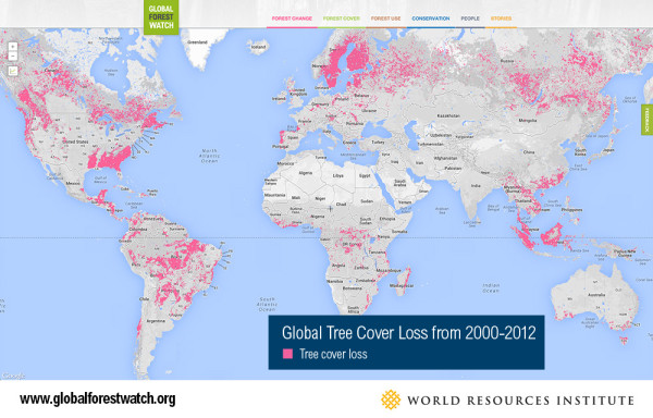 World Resources Institute, www.globalforestwatch.com