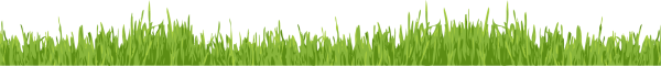 grass