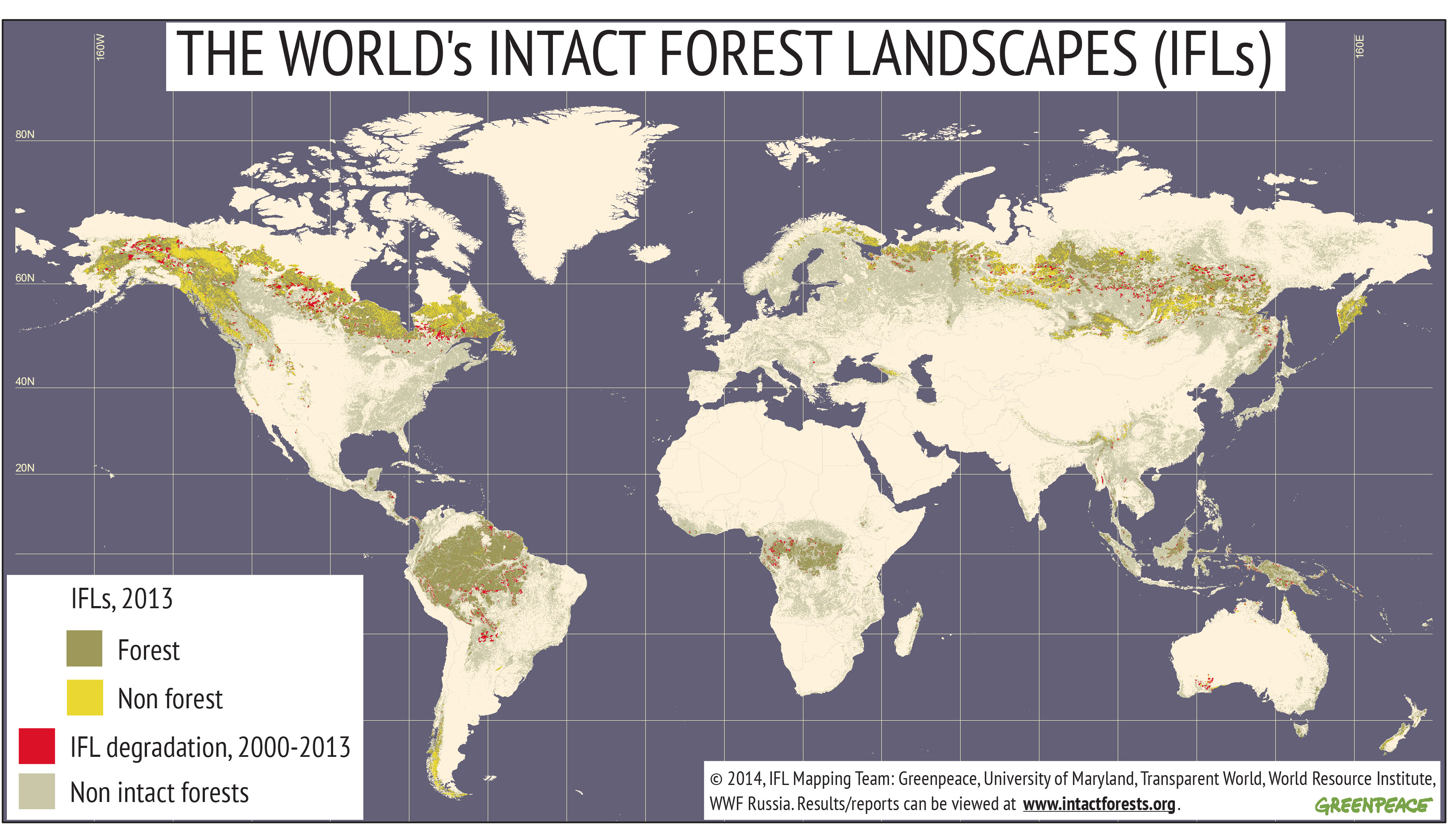 deforestation in third world countries The countries that are in the third phase of forest transition would see this effect eliminated, and even experience on average a drop of about 20% of one standard deviation of relative deforestation ( 306-0479 =- 17). deforestation in third world countries The countries that are in the third phase of forest transition would see this effect eliminated, and even experience on average a drop of about 20% of one standard deviation of relative deforestation ( 306-0479 =- 17).
