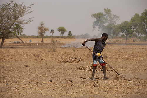 Photo credit: IFPRI-IMAGES