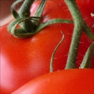 pomodoro_thumb