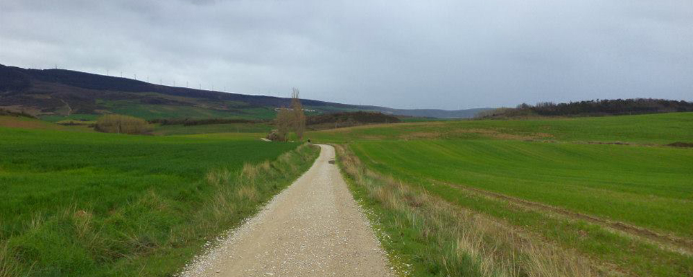 Caminho de Santiago (Foto: Márcio Faria)