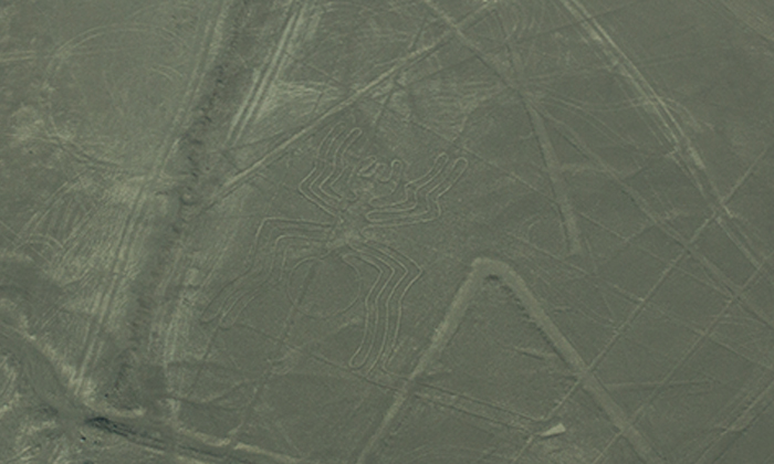 Aranha - Linhas de Nazca Aranha - Linhas de Nazca