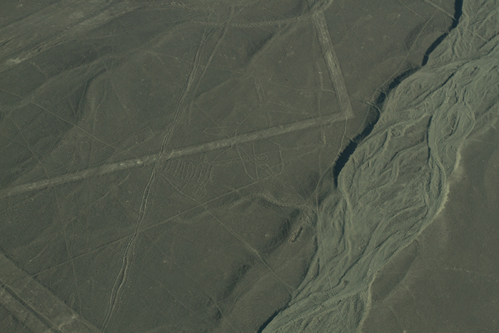 Desenho de uma Baleia - Linhas de Nazca Desenho de uma Baleia - Linhas de Nazca
