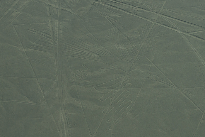 Desenho do beija-flor - Linhas de Nazca Desenho do beija-flor - Linhas de Nazca