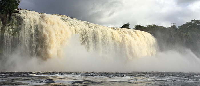 Salto Sapo Salto Sapo