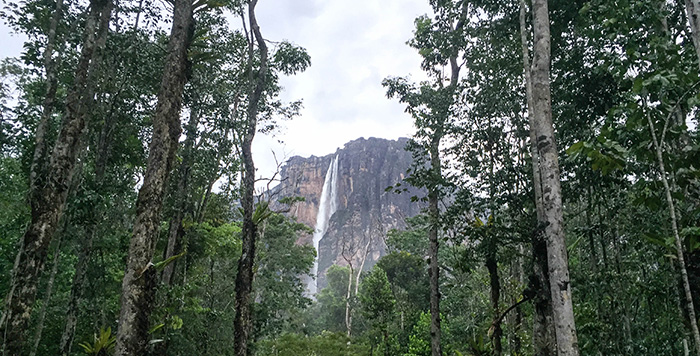 Vista Salto Angel desde o nosso acampamento Vista Salto Angel desde o nosso acampamento