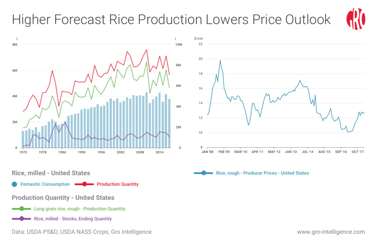 WASDE Predicts Bump in Rice Production