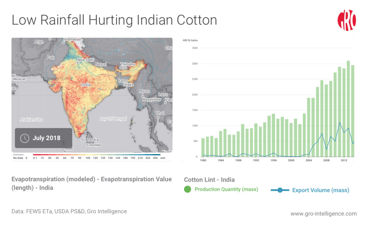 India's Cotton Production and Exports Forecast to Drop