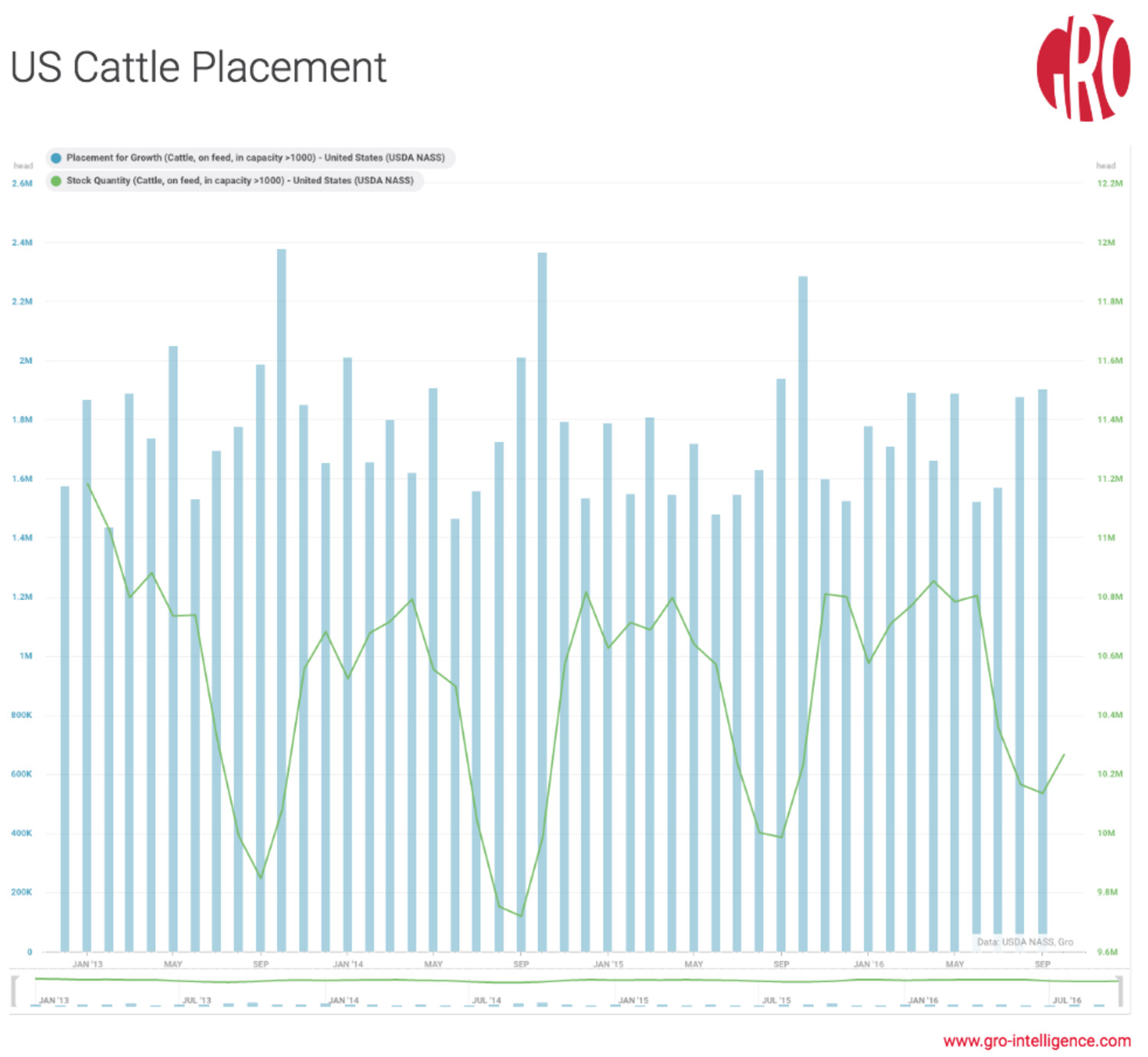 US Cattle Placement