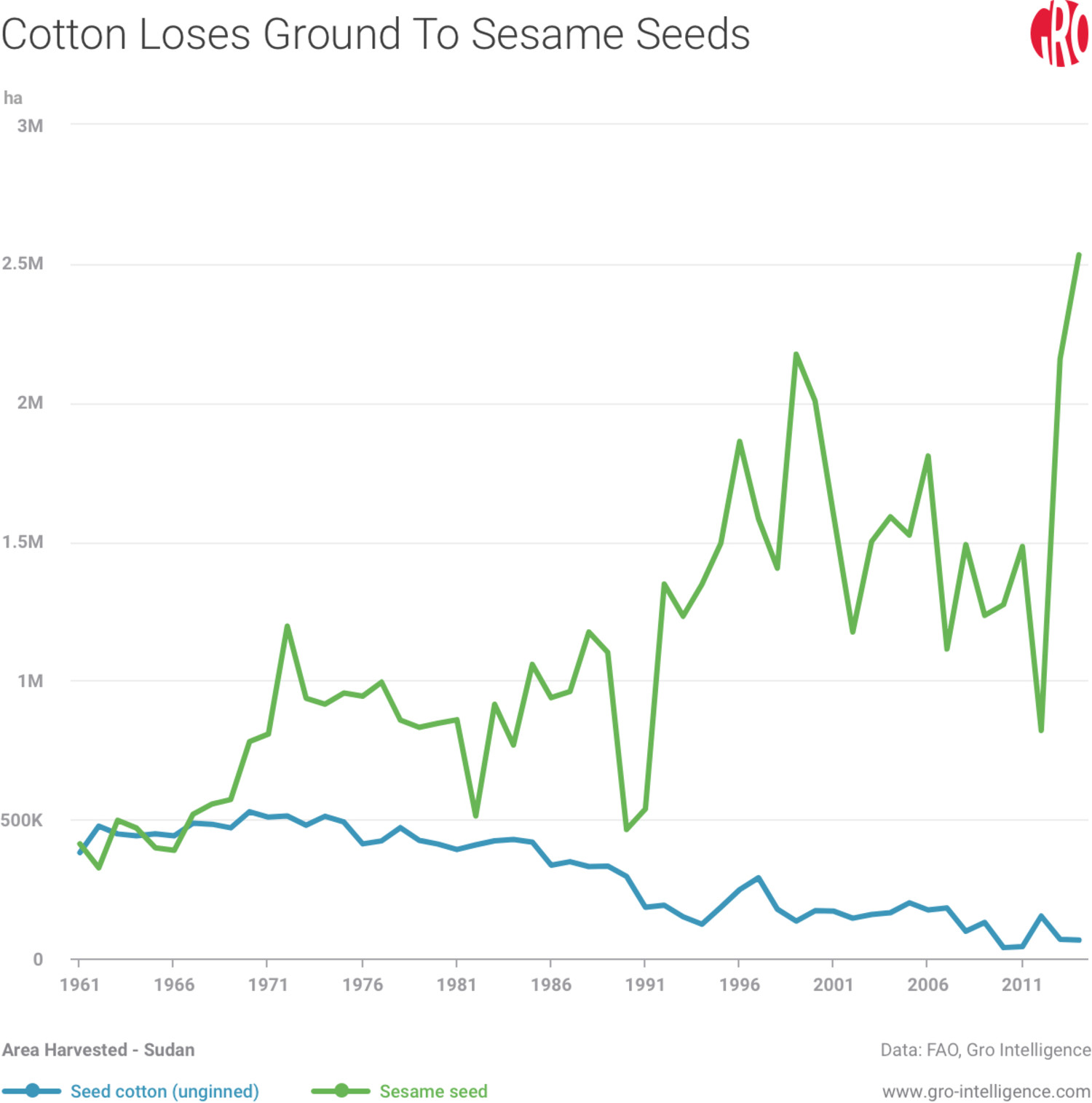Cotton Loses Ground To Sesame Seeds