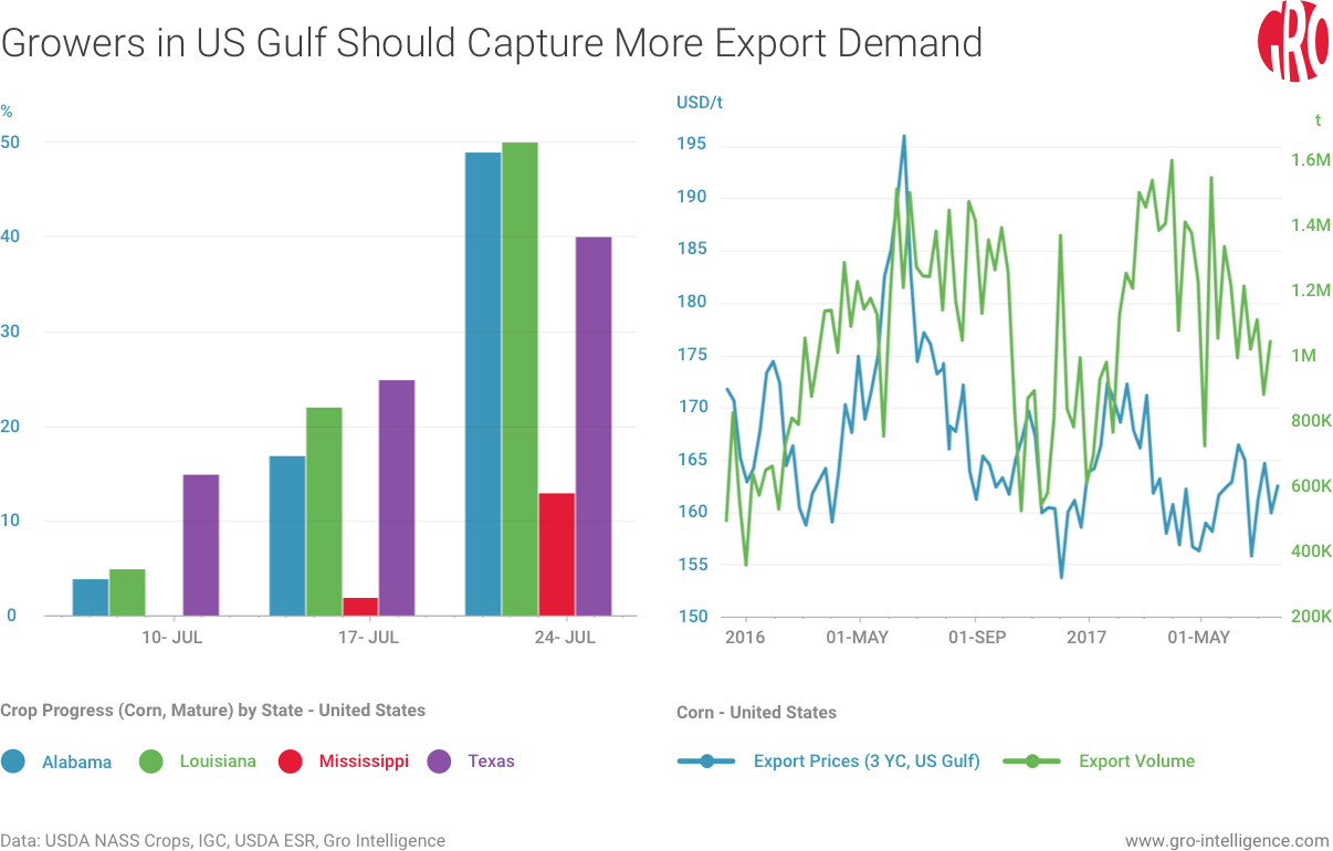 Growers in US Gulf Should Capture More Export Demand