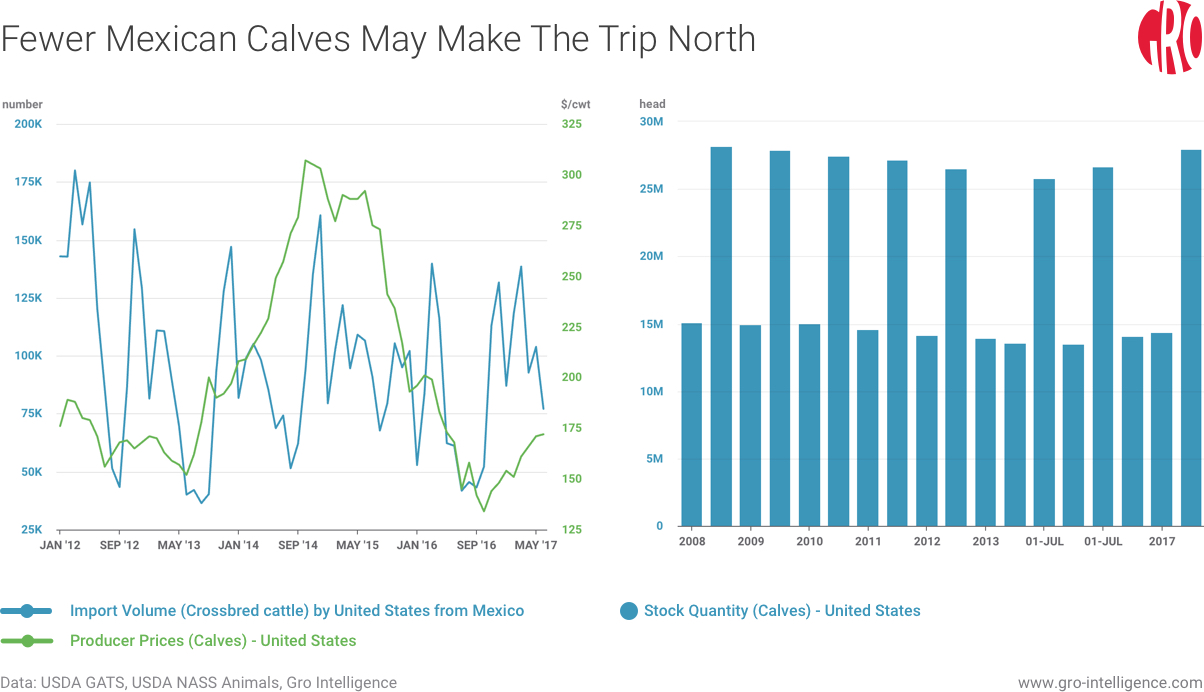 Fewer Mexican Calves May Make The Trip North