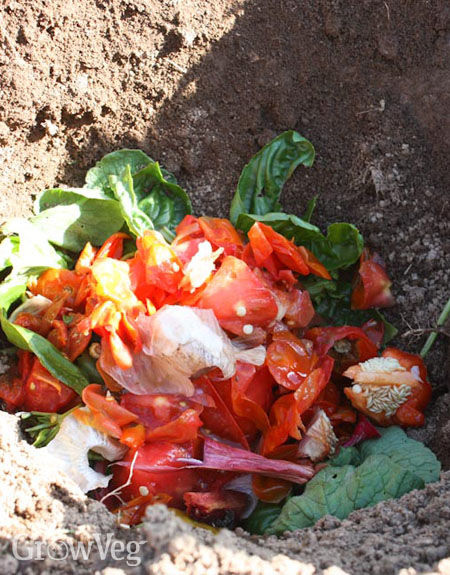 Cathole composting