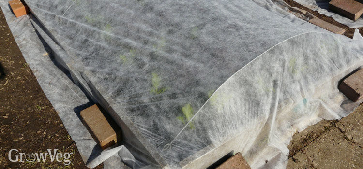 Warming Up Soil - How to Start Seeds Earlier in Your Garden How To Get Mulch Out Of Fleece