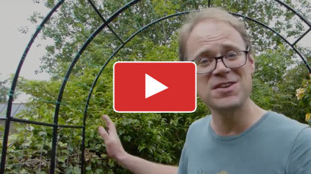 How to Make a Beautiful Arch for Climbing Vegetables