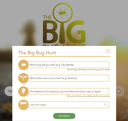 Big Bug Hunt bug report form