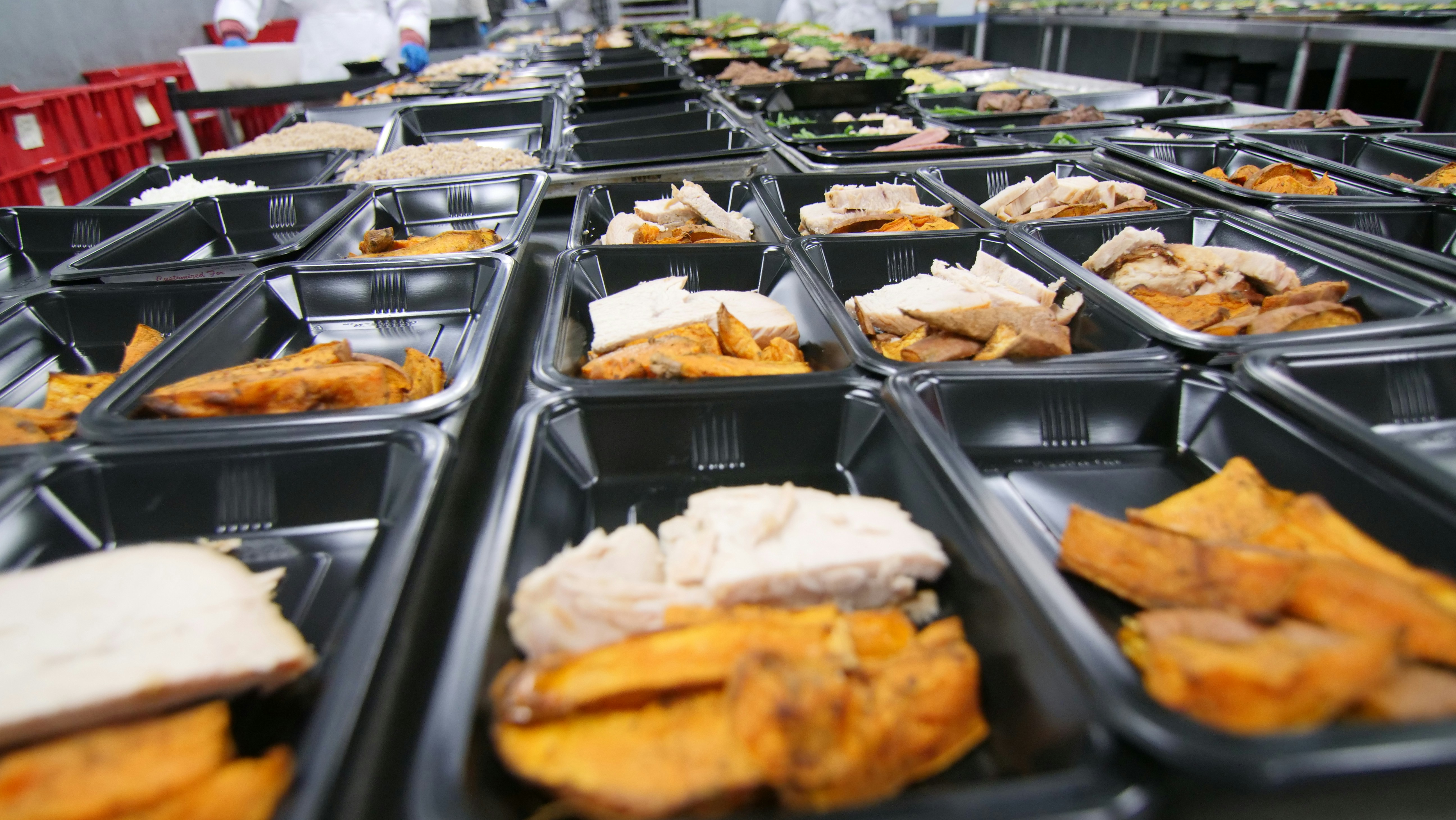Food Processing