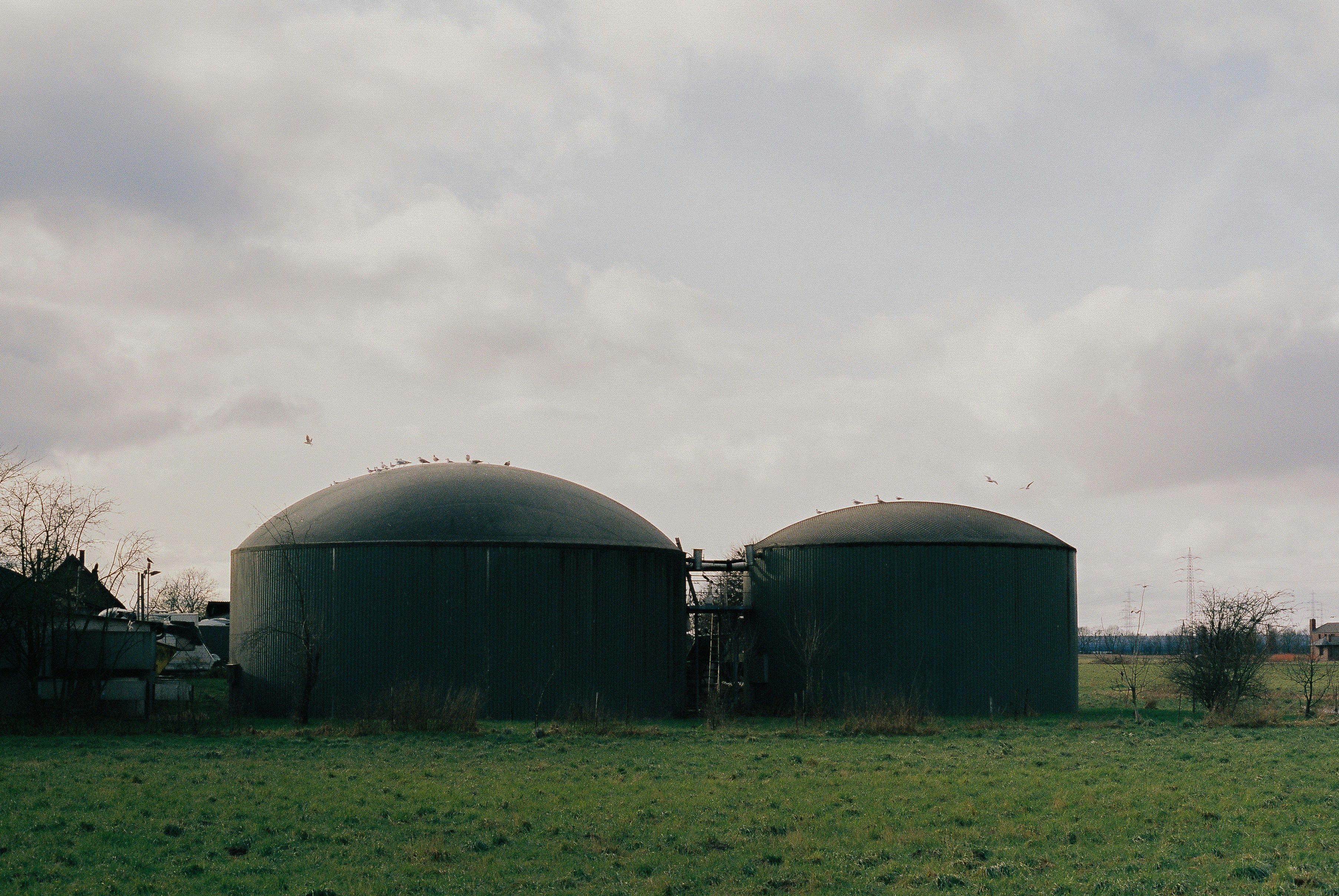 Biogas