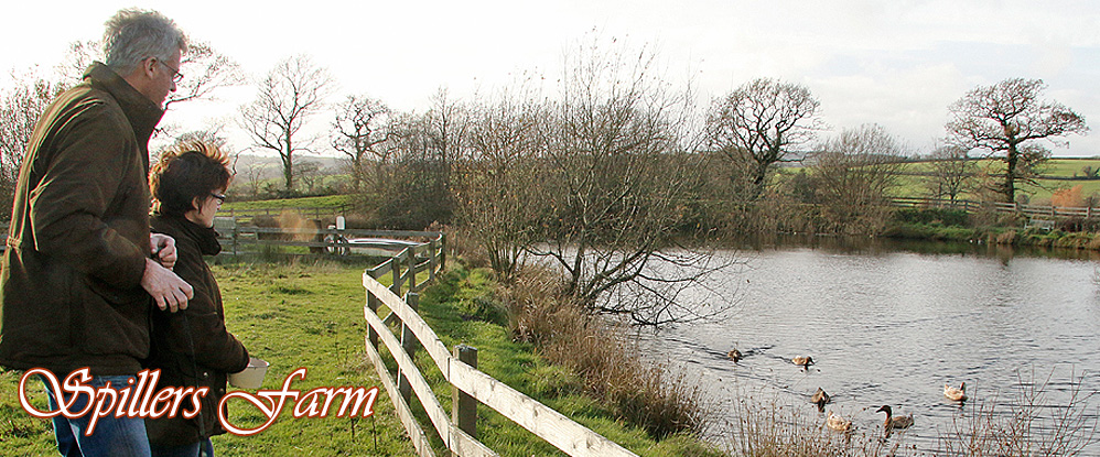 Spillers Farm Bed And Breakfast Holiday Cottage Axminster