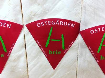 Bilde fra Ostegården
