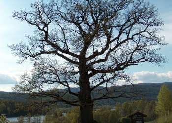 Bilde av Drammen