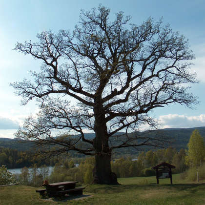 Bilde fra Drammen