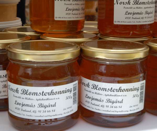 Bilde fra Løvjomås Bigård
