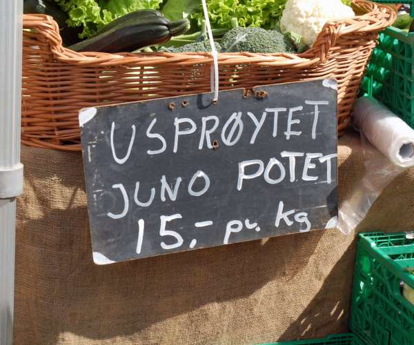 Bilde fra Meen Gård