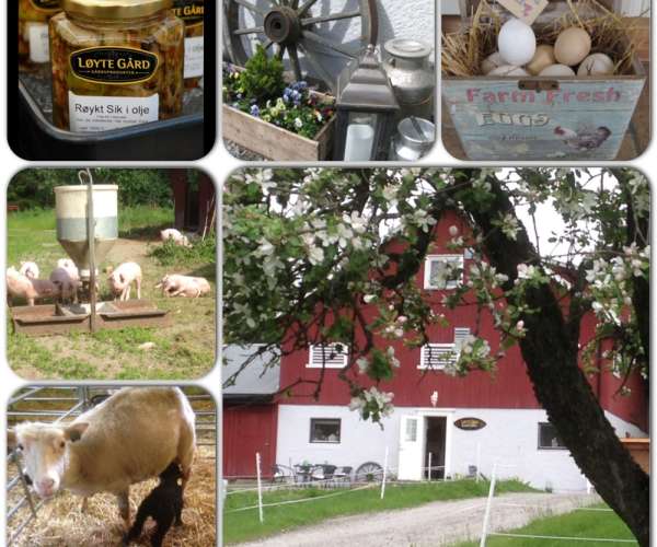 Bilde fra Løyte Gård