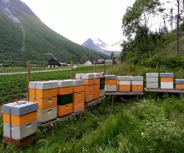 Bilde fra Bieprodukter