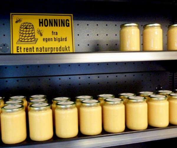 Bilde fra Finnskoghonning