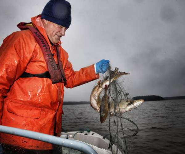 Bilde fra Vansjøfiskeren